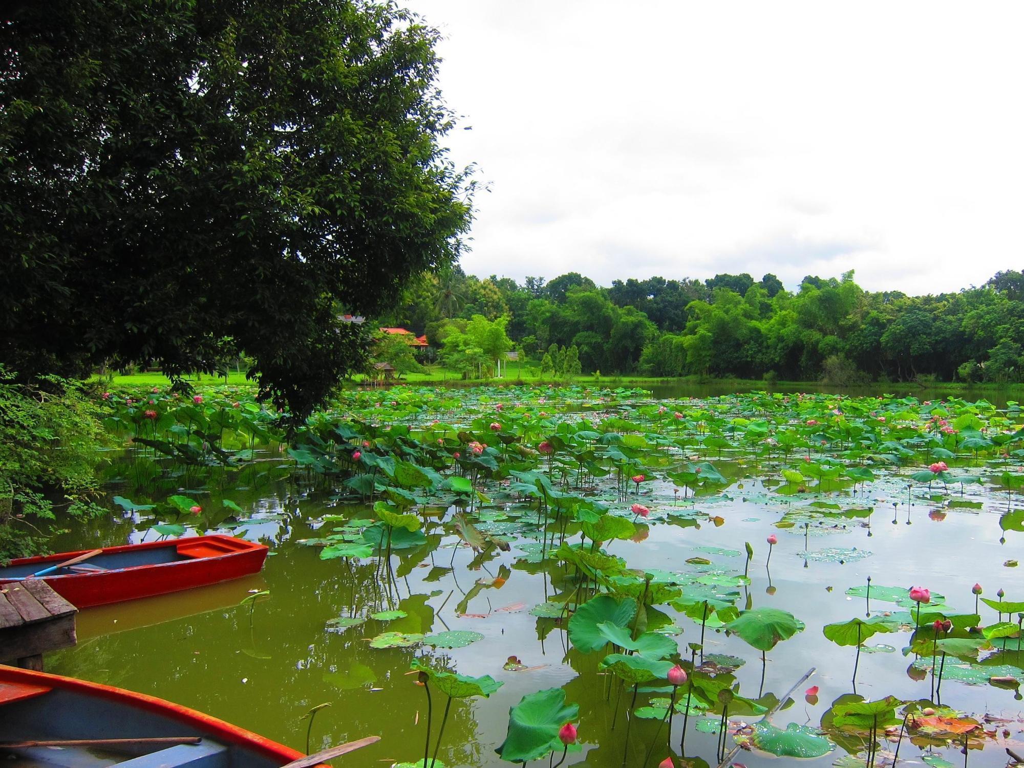 Mae Rim Lagoon Bed & Bakery Exteriör bild